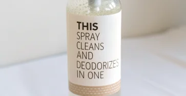 This Spray Cleans and Deodorizes in One